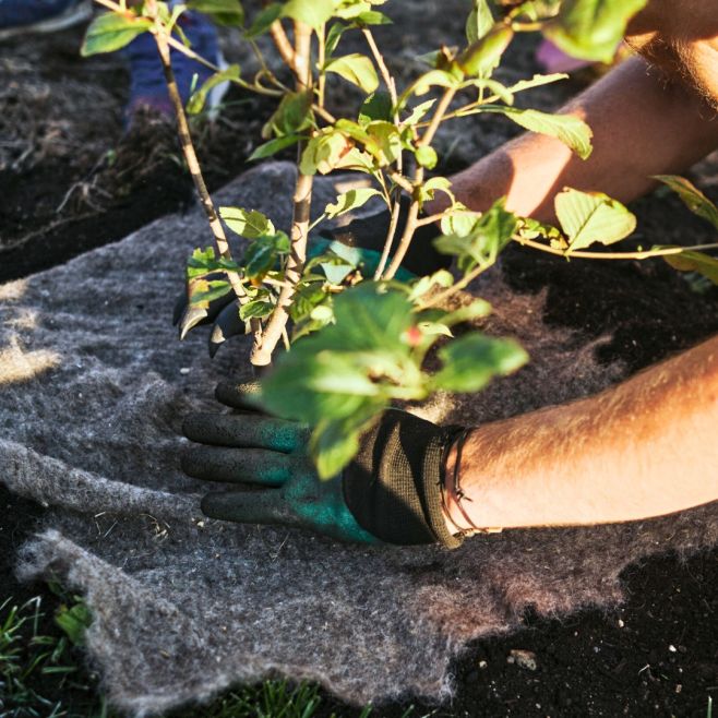 🍂 Podzim je ideální čas přikrýt záhony ochrannou vrstvou mulče. Pomáhá udržet vlhkost, brání plevelům a chrání půdu i...