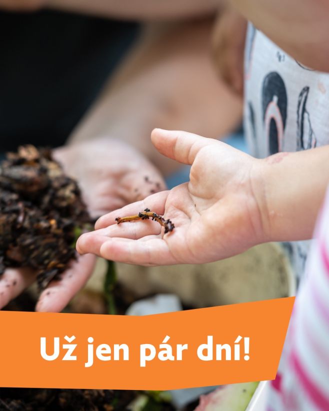 🕒 Připomínka pro všechny pražské školy! Už jen pár dní zbývá do uzávěrky školní výzvy „Podzimní zahrada ve škole a její...