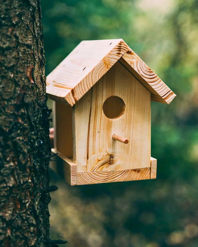 🌫️ Pomalu se blíží chladné dny a i v zimě můžeme myslet na naše malé pomocníky, kteří na zahradě zůstávají. Nemusíte dělat...