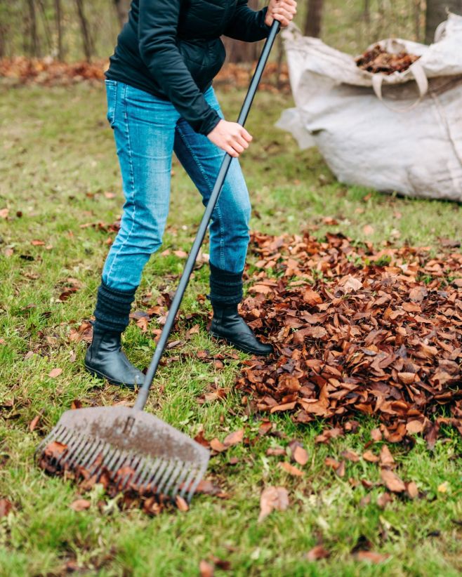 🍂 Co se spadaným listím? Podzim přináší spoustu barev, vůní a hromady listí. Naše první reakce bývá často jasná: shrabat,...